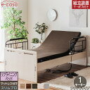 グランツ 正規代理店 リクライニングベッド フラットタイプ 1モーター マットレス付 電動ベッド 電動 ベッド 介護ベッド 介護 電動リクライニングベッド おしゃれ シングル マットレス付き グランケア スリムプロ ベッド ベット お洒落 エルライン