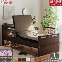 グランツ 正規代理店 リクライニングベッド キャビネットタイプ 1モーター マットレス付 電動ベッド 電動 ベッド 介護ベッド 介護 電動リクライニングベッド おしゃれ 棚付き シングル マットレス付き スリムプロ ベッド ベット お洒落 エルライン