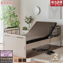 グランツ 正規代理店 リクライニングベッド フラットタイプ 2モーター マットレス付 電動ベッド 電動 ベッド 介護ベッド 介護 電動リクライニングベッド おしゃれ シングル マットレス付き グランケア ミドルプロ ベッド ベット お洒落 エルライン