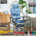 新型 レビュー特典あり 組立設置付 エルゴヒューマン プロ2 Ergohuman Pro2 ottoman オットマン 在宅ワーク ハイタイプ人気 メッシュ 正規品 オフィスチェア ゲーミングチェア パソコンチェア EHP2-LPL 関家具 正規代理店