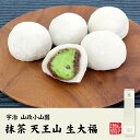 【スイーツギフト】高級抹茶「天王山」生大福 (48g×5個入り)×2個セット 送料無料 誕生日プレゼント あす楽 母の日 父の日 2024 お菓子 おやつ お取り寄せ 出産内祝い お返し 結婚 男性 女性 彼氏 彼女 お祝い お礼 お供え ありがとう クーポン 食べ物 早割 冷凍