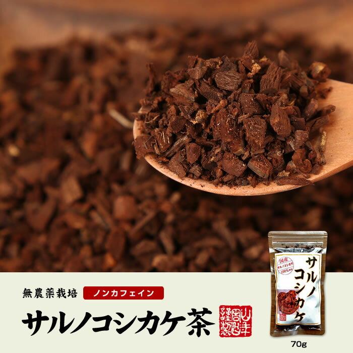 【国産 100%】サルノコシカケ茶 70g×6袋セット 宮崎県産 ノンカフェイン 無農薬 送料無料 さるのこしかけ サルノコシカケ 健康茶 妊婦 ダイエット サプリ セット ギフト プレゼント 母の日 父の日 プチギフト お茶 2024 内祝い お返し