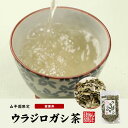 【国産 100%】ウラジロガシ茶 100g×6袋セット 宮崎県産 ノンカフェイン 無農薬 送料無料 ウラジロガシ 健康茶 妊婦 ダイエット ウラジロガシ流石粒 結石 サプリ セット ギフト プレゼント 母の日 父の日 プチギフト お茶 2024 内祝い お返し 2