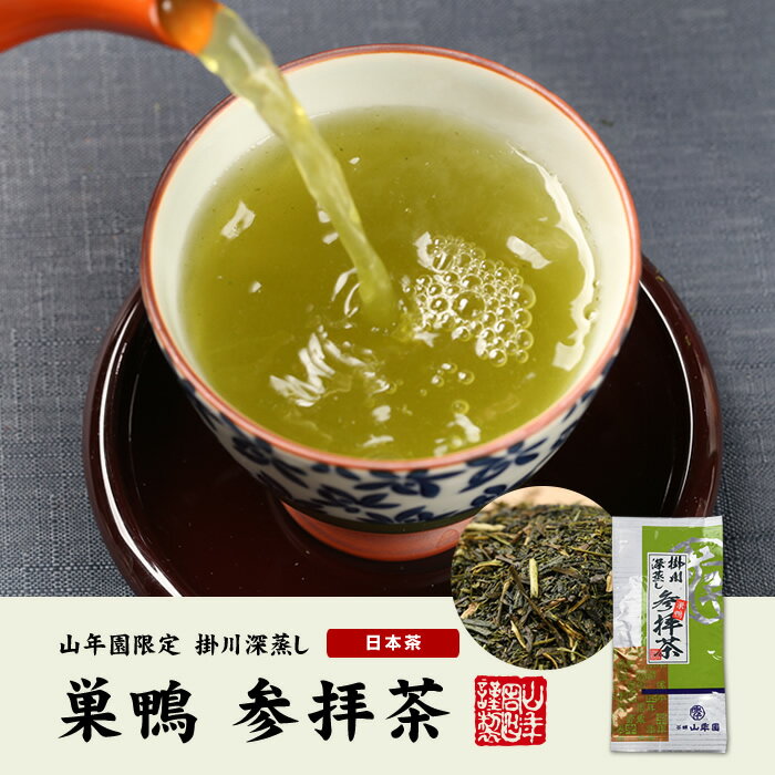 日本茶 お茶 茶葉 巣鴨参拝茶100g×12袋セット 深蒸し掛川茶 葉酸 緑茶 豊島の名品50選 国産 煎茶 茶葉 日本茶 ギフト バレンタイン プチギフト お茶 2021 内祝い プレゼント 還暦祝い 男性 女性 母 贈り物 香典返し お土産 おみやげ お祝い 誕生日 祖父 祖母格安通販　バレンタイン　人気　ランキング