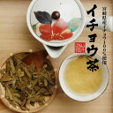 【国産 100%】イチョウ茶 イチョウ葉 70g×2袋セット 無農薬 ノンカフェイン 送料無料 宮崎県産 銀杏茶 いちょう茶 イチョウ葉茶 イチョウ葉エキス サプリメント 妊婦 ダイエット ギフト プレゼント 母の日 父の日 プチギフト お茶 2024 内祝い お返し 2