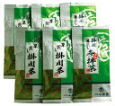 日本茶 お茶 茶葉 参拝茶100g×2袋+掛川深蒸し茶100g×4袋セット メール便 …