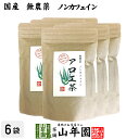 【国産 無農薬 100%】アロエ茶 40g×6袋セット 高知県四万十川産 ノンカフェイン 送料無料 あろえ茶 苗 サプリ 健康茶 aroe 妊婦 化粧水 キダチアロエ茶 農薬不使用 ダイエット セット ギフト プレゼント お歳暮 プチギフト お茶 2023 内祝い お返し