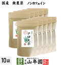 【国産 無農薬 100%】アロエ茶 40g×10袋セット 高知県四万十川産 ノンカフェイン 送料無料 あろえ茶 苗 サプリ 健康茶 aroe 妊婦 化粧水 キダチアロエ茶 農薬不使用 ダイエット セット ギフト プレゼント 父の日 お中元 プチギフト お茶 2025 内祝い お返し