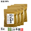 【国産100 】阿波番茶(阿波晩茶) 7g×12パック×6袋セット ティーパック 徳島県産 送料無料 ティーバッグ 相生 熟成 お茶 2024 内祝い お返し ギフト 母の日 父の日 プチギフト プレゼント 還暦祝い 男性 女性 父 母 贈り物 お土産 お祝い 誕生日 お礼 夫婦