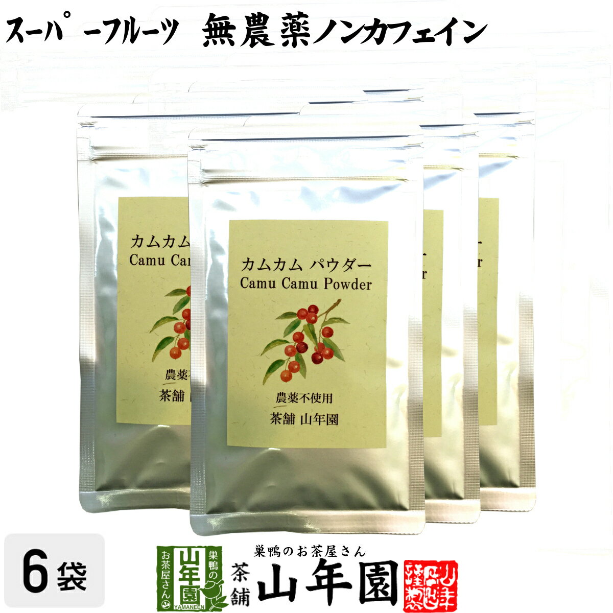 【無農薬】カムカムパウダー 50g×6袋セット ペルー産 粉末 ノンカフェイン 送料無料 ビタミンC ヨーグルト スムージー 苗 サプリ 健康茶 妊婦 ダイエット セット ギフト プレゼント 母の日 父の日 プチギフト お茶 2024 内祝い お返し 1