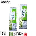 日本茶 お茶 煎茶 茶葉 知覧茶 200g×2袋セット 送料無料 緑茶 ギフト 母の日 父の日 プチギフト お茶 2024 内祝い プレゼント 還暦祝い 男性 女性 父 母 贈り物 香典返し 引越し 挨拶品 お祝い 人気 おすすめ 贈物 お土産 おみやげ 誕生日 祖父 祖母 お礼