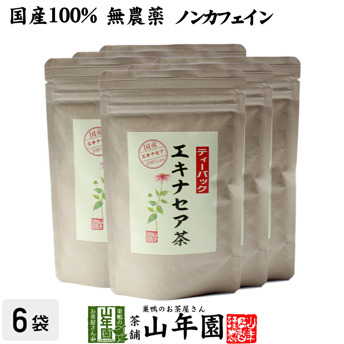 【国産 100%】エキナセア茶 2g×10パック×6袋セット