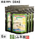 【高級】抹茶 粉末 天龍抹茶 50g×6袋セット 送料無料 国産 美味しい粉末緑茶 縁起の良い天竜のお抹茶です 粉末 お茶 日本茶 抹茶 粉末 母の日 父の日 プチギフト お茶 2024 内祝い ギフト プレゼント 還暦祝い 男性 女性 母 贈り物 香典返し お土産 夫婦