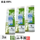 お茶 日本茶 冬のアナタ 100g×3袋セット 送料無料 国産 煎茶 掛川茶 日本茶 茶葉 緑茶 ギフト 父の日 お中元 プチギフト お茶 2025 内祝い プレゼント 還暦祝い 男性 女性 父 母 贈り物 香典返し お土産 おみやげ お祝い 誕生日 祖母 お返し 誕生日 高級