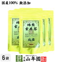 【国産無添加100%】焙煎玄米茶 風雅 ティーパック 7g×10パック×6袋セット 最高級 特A北海道ななつぼし 残留農薬ゼロ ノンカフェイン 送料無料 日本茶...