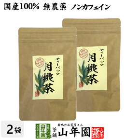 【国産 100%】月桃茶 2g×20パック×2袋セット ティーパック ノンカフェイン 沖縄県産 無農薬 送料無料 月桃 月桃水 健康茶 妊婦 ダイエット ティーバッグ サプリ 苗 セット ギフト プレゼント 母の日 父の日 プチギフト お茶 2024 内祝い お返し