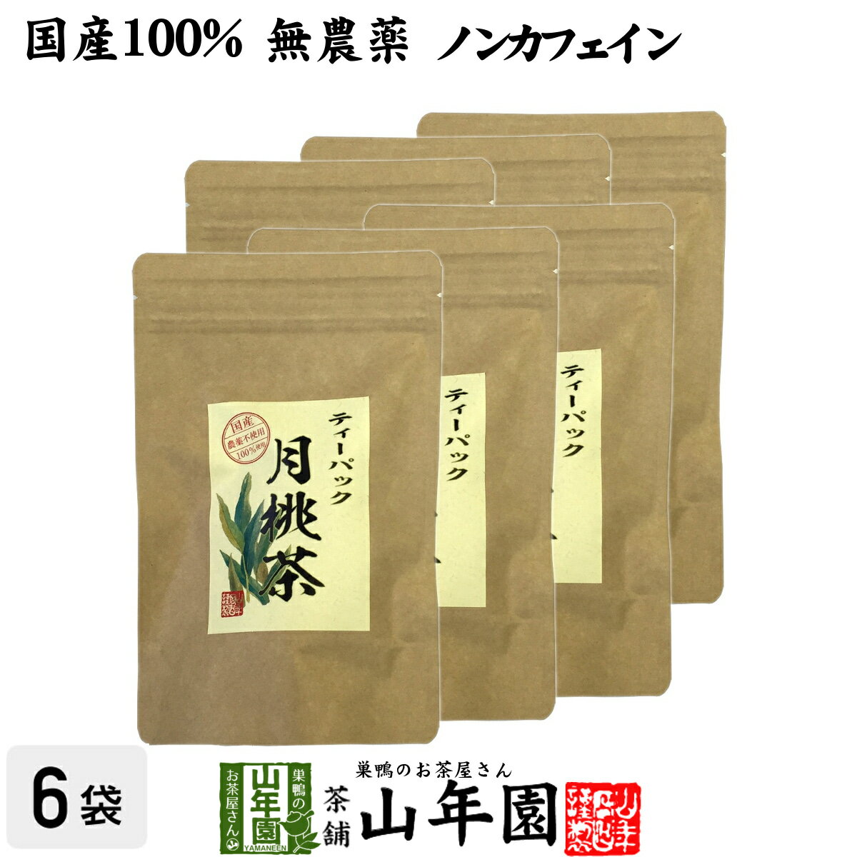 【国産 100%】月桃茶 2g×20パック×6袋セット ティーパック ノンカフェイン 沖縄県産 無農薬 送料無料 月桃 月桃水 健康茶 妊婦 ダイエット ティーバッグ サプリ 苗 セット ギフト プレゼント 母の日 父の日 プチギフト お茶 2024 内祝い お返し