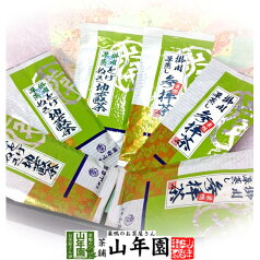 【お茶 日本茶 ギフト】【掛川茶詰め合わせセット】合計600gセット 参拝茶100g×3本、とげぬき地蔵茶×3本送料無料 母の日 父の日 プチギフト お茶 2024 静岡茶 掛川茶 緑茶 ギフト プレゼント 高級 名入れ 内祝い お返し 香典返し 誕生日 定年退職 法要 通販