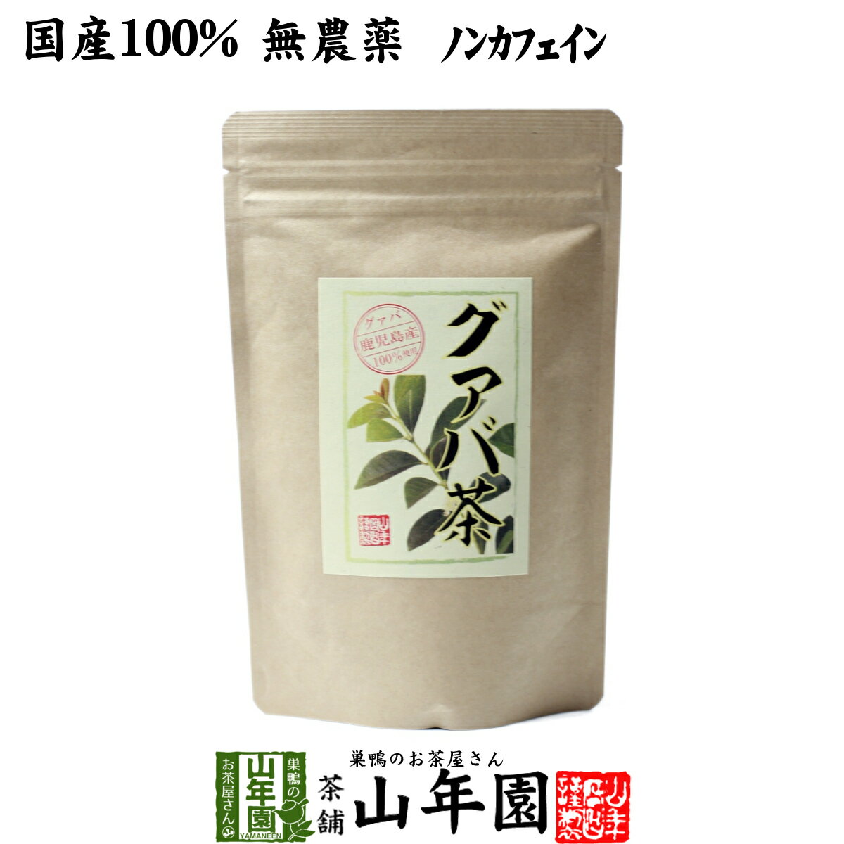 【国産 100%】グァバ茶 3g×16パック ティーパック ノンカフェイン 鹿児島県産 無農薬 送料無料 グアバ茶 健康茶 妊婦 ダイエット ティーバッグ サプリ 苗 セット ギフト プレゼント お歳暮 御歳暮 プチギフト お茶 2020 内祝い お返し