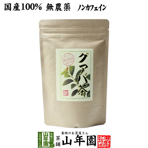 【国産 100%】グァバ茶 3g×16パック ティーパック ノンカフェイン 鹿児島県産 無農薬 送料無料 グアバ茶 健康茶 妊婦 ダイエット ティーバッグ サプリ 苗 セット ギフト プレゼント 母の日 父の日 プチギフト お茶 2020 内祝い お返し