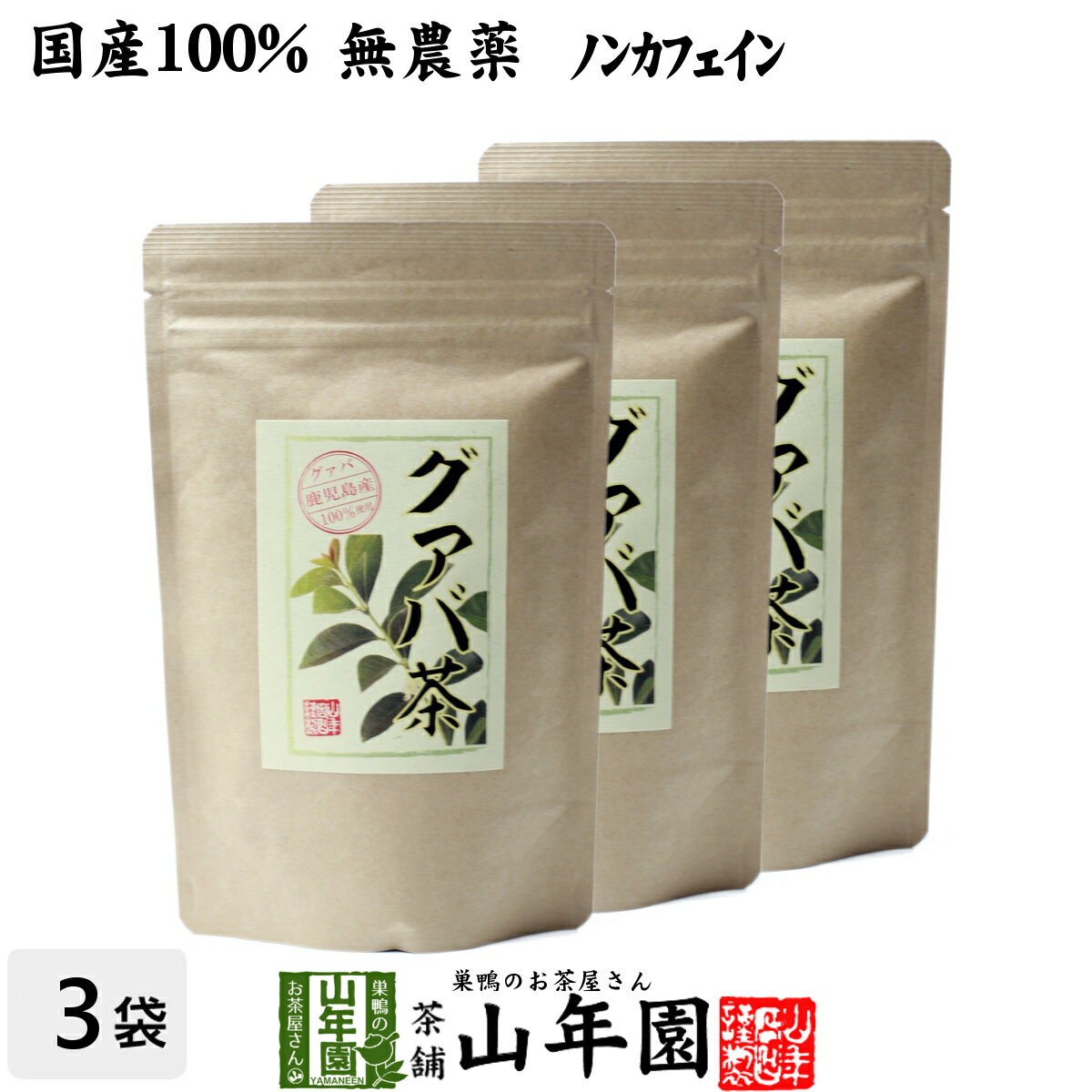 【国産 100%】グァバ茶 3g×16パック×3袋セット ティーパック ノンカフェイン 鹿児島県産 無農薬 送料無料 グアバ茶 健康茶 妊婦 ダイエット ティーバッグ サプリ 苗 セット ギフト プレゼント お歳暮 御歳暮 プチギフト お茶 2020 内祝い お返し