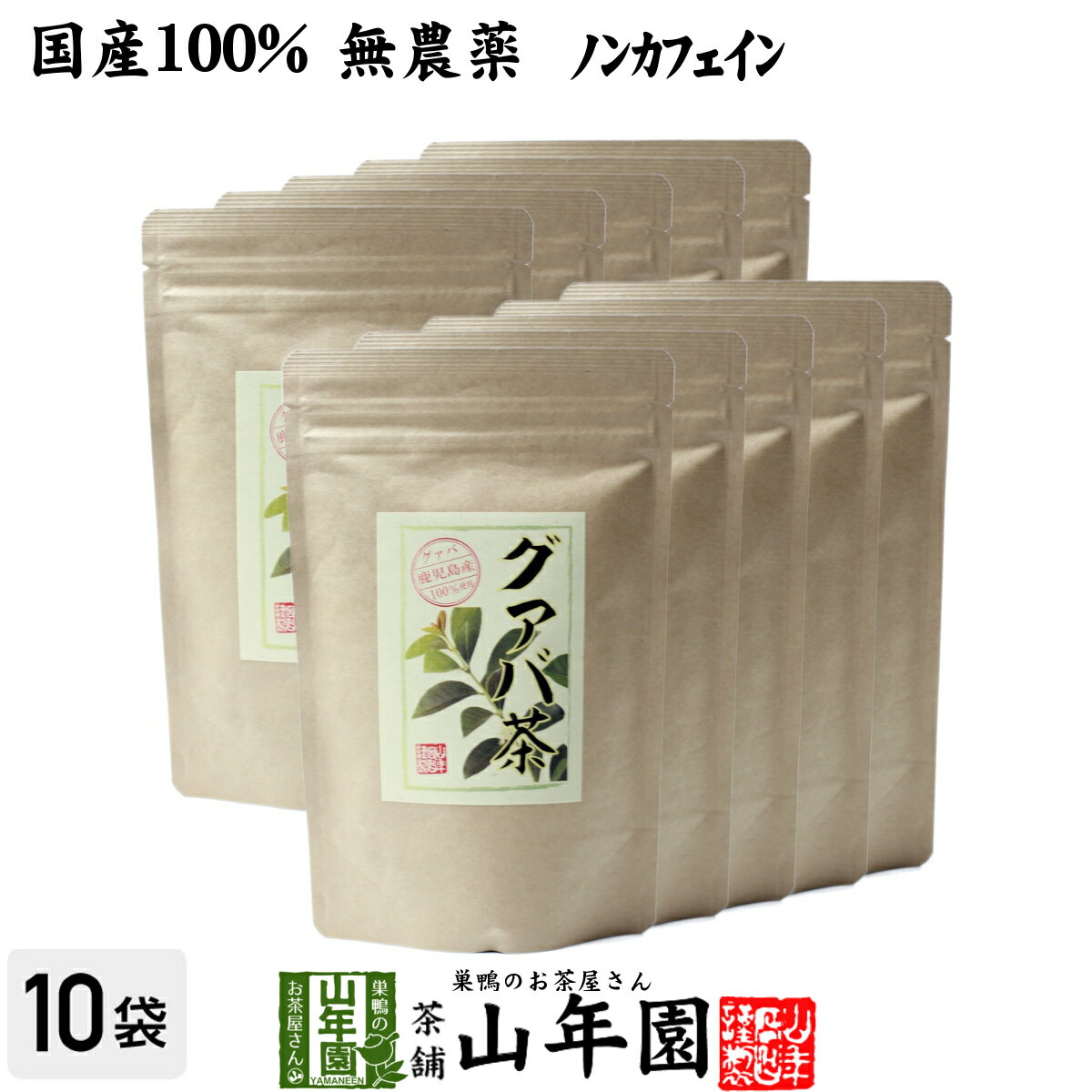 【国産 100%】グァバ茶 3g×16パック×10袋セット ティーパック ノンカフェイン 鹿児島県産 無農薬 送料無料 グアバ茶 健康茶 妊婦 ダイエット ティーバッグ サプリ 苗 セット ギフト プレゼント お中元 敬老の日 プチギフト お茶 2022 内祝い お返し