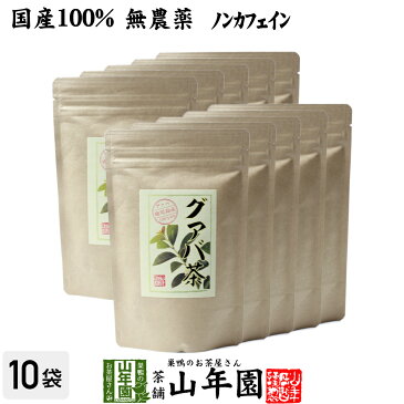 【国産 100%】グァバ茶 3g×16パック×10袋セット ティーパック ノンカフェイン 鹿児島県産 無農薬 送料無料 グアバ茶 健康茶 妊婦 ダイエット ティーバッグ サプリ 苗 セット ギフト プレゼント 母の日 父の日 プチギフト お茶 2021 内祝い お返し