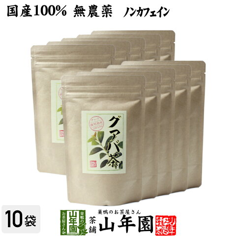 【国産 100%】グァバ茶 3g×16パック×10袋セット ティーパック ノンカフェイン 鹿児島県産 無農薬 送料無料 グアバ茶 健康茶 妊婦 ダイエット ティーバッグ サプリ 苗 セット ギフト プレゼント 母の日 父の日 プチギフト お茶 2020 内祝い お返し