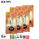 ほうじ茶 国産 5g×20パック×6個セット 三角ティーパック ティーバッグ 美味しいほうじ茶 国産 茶葉 日本茶 茶葉 お茶 お中元 御中元 プチギフト お茶 2025 内祝い ギフト プレゼント 還暦祝い 男性 女性 母 贈り物 香典返し お土産 おみやげ お祝い 誕生日