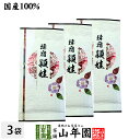 日本茶 お茶 煎茶 茶葉 頴娃 100g×3袋セット ユタカミドリ 送料無料 国産 緑茶 ギフト 母の日 父の日 プチギフト お茶 2024 内祝い プレゼント 還暦祝い 男性 女性 母 贈り物 香典返し 引越し 挨拶品 お土産 お祝い 誕生日 祖母 お礼 夫婦