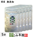 青汁 国産 桑の葉 15g×5袋セット 無農薬 無添加 メール便発送 5週間分 あおじる 青汁 国産 贈り物 ギフト 健康飲料 健康食品 カルシウム マグネシウム 鉄分 女性 お土産 おみやげ ギフト プレゼント 母の日 父の日 プチギフト お茶 ホット 牛乳 2024 内祝い