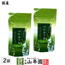 【国産】べにふうき 粉末 国産 40g×2袋セット 送料無料 べにふうき茶 べにふうき緑茶 紅富貴 紅ふうき 鼻炎 鼻水 カテキン緑茶 カテキン茶 掛川産 深蒸...