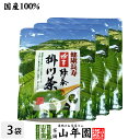 【国産100%】掛川粉末緑茶 50g×3袋セット 煎茶パウダー 掛川産 送料無料 掛川茶 お茶 日本茶 緑茶 抹茶 粉末 粉茶 お歳暮 御歳暮 プチギフト お茶 2025 内祝い お返し ギフト プレゼント 香典返し 還暦祝い 男性 女性 父 母 お土産 おみやげ お祝い 誕生日