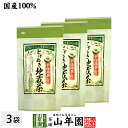 【掛川深蒸し茶 ティーパック】掛川茶 とげぬき地蔵茶 3g×15パック×3袋セット 宇治抹茶入り 国産100% ティーバッグ 送料無料 健康茶 妊婦 ダイエット セット 水出し ギフト プレゼント 父の日 お中元 プチギフト お茶 2025 内祝い お返し