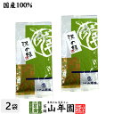 日本茶 お茶 煎茶 茶葉 沢の緑100g×2袋セット 送料無料 国産 緑茶 ギフト お中元 御中元 プチギフト お茶 2025 内祝い プレゼント 還暦祝い 男...
