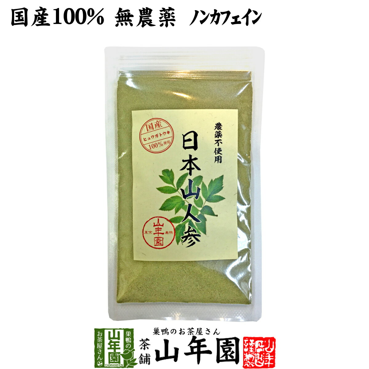 日本山人参 粉末 ヒュウガトウキ 50g パウダー 九州産ノンカフェイン 送料無料 日本山人参茶 ヒュウガトウキ茶 日本山にんじん茶 日本山ニンジン茶 サプリ セット ギフト プレゼント 母の日 父の日 プチギフト お茶 2024 内祝い お返し