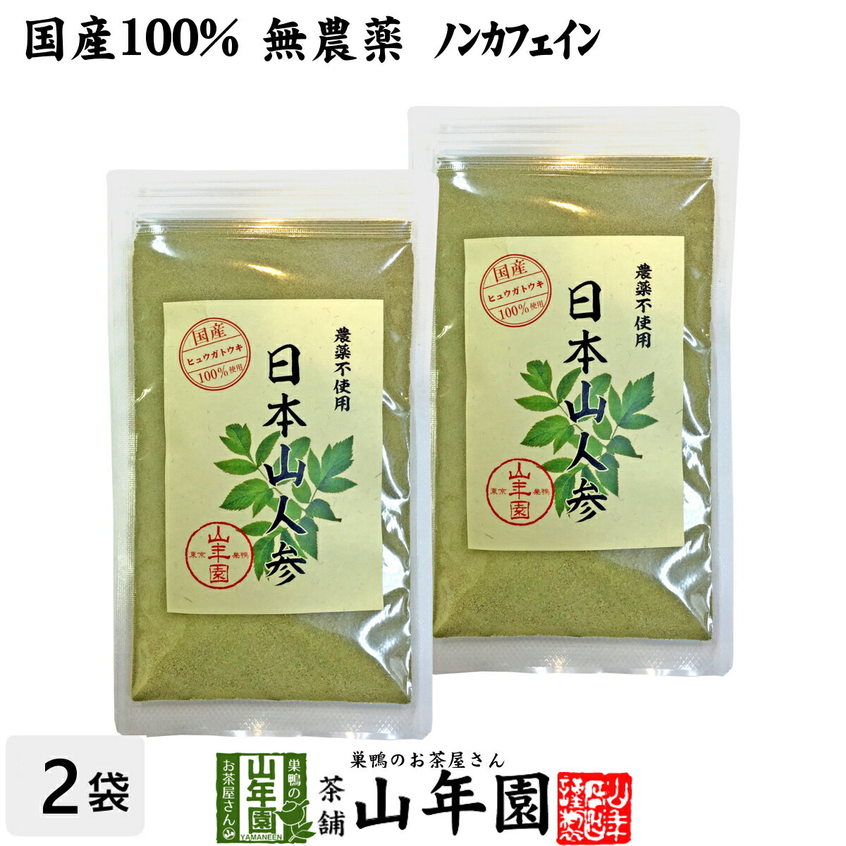 日本山人参 粉末 ヒュウガトウキ 50g×2袋セット パウダー 九州産ノンカフェイン 送料無料 日本山人参茶 ヒュウガトウキ茶 日本山にんじん茶 日本山ニンジン茶 サプリ セット ギフト プレゼント 母の日 父の日 プチギフト お茶 2024