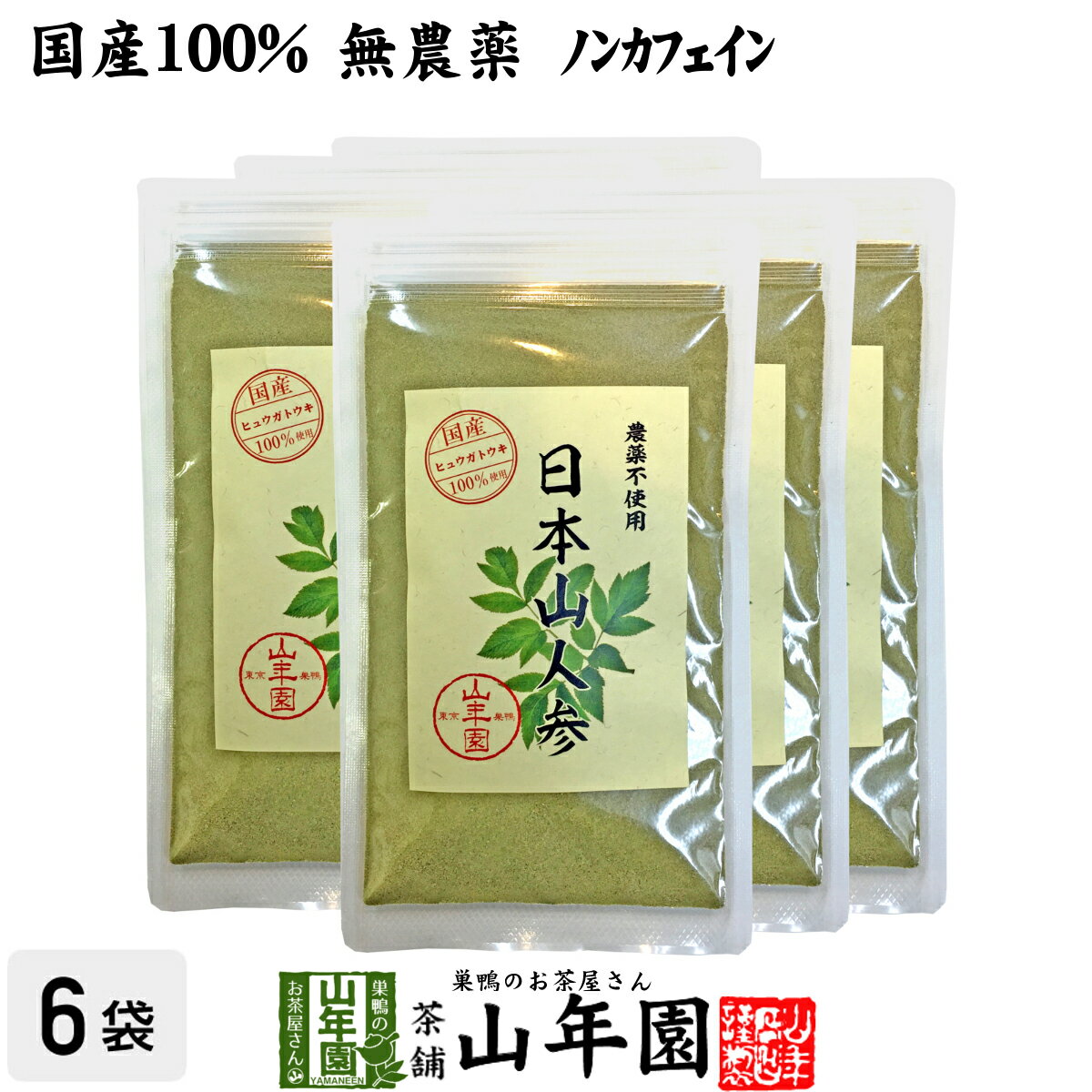 日本山人参 粉末 ヒュウガトウキ 50g×6袋セット パウダー 九州産ノンカフェイン 送料無料 日本山人参茶 ヒュウガトウキ茶 日本山にんじん茶 日本山ニンジン茶 サプリ セット ギフト プレゼント 母の日 父の日 プチギフト お茶 2024