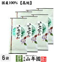 【高級】日本茶 お茶 煎茶 茶葉 玉翠あさみどり 100g×6袋セット 送料無料 煎茶 国産 緑茶 ギフト お中元 御中元 プチギフト お茶 2025 内祝い お返し プレゼント 還暦祝い 男性 女性 母 贈り物 香典返し お土産 おみやげ お祝い 誕生日 祖父 祖母 お礼 夫婦