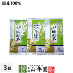 日本茶 お茶 茶葉 参拝茶100g×1袋+掛川深蒸し茶100g×2袋セット 送料無料 国産 煎茶 茶葉 掛川茶 カテキン 日本茶 ギフト 母の日 父の日 プチギフト お茶 内祝い 2024 プレゼント 還暦祝い 男性 女性 母 贈り物 香典返し お土産 お祝い 誕生日 祖父 祖母