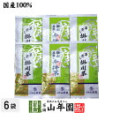 日本茶 お茶 茶葉 参拝茶100g×2袋+掛川深蒸し茶100g×4袋セット 送料無料 カテキン 国産 葉酸 緑茶 煎茶 茶葉 日本茶 贈り物 ギフト 母の日 父の日 プチギフト お茶 蒸し茶 2024 内祝い プレゼント 還暦祝い 男性 女性 父 母 贈り物 香典返し お土産 通販