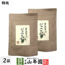 特級 ジャスミン茶 100g×2袋セット送料無料 茉莉花茶 ジャスミンティー ギフト プレゼント お中元 御中元 プチギフト お茶 内祝い 2025