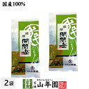 【国産】開聞岳茶 100g×2袋セット 送料無料 鹿児島県産 国産100% 日本茶 茶葉 緑茶 ダイエット 無添加 ギフト プレゼント 内祝い お返し 母の日 父の日 プチギフト 2024 お茶 男性 女性 父 母 お祝い 誕生日 お礼