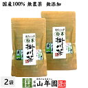 【国産】掛川深蒸し茶 スティックタイプ 粉末 0.8g×15本×2袋セット 送料無料 掛川茶 静岡県産 国産100% パウダー 日本茶 茶葉 緑茶 ダイエット 無添加 ギフト プレゼント 内祝い お返し 母の日 父の日 プチギフト 2024 お茶 男性 女性 父 母 お祝い 誕生日