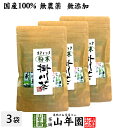 【国産】掛川深蒸し茶 スティックタイプ 粉末 0.8g×15本×3袋セット 送料無料 掛川茶 静岡県産 国産100% パウダー 日本茶 茶葉 緑茶 ダイエット 無添加 ギフト プレゼント 内祝い お返し 母の日 父の日 プチギフト 2024 お茶 男性 女性 父 母 お祝い 誕生日