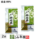 【掛川茶】掛川深蒸し茶100g×2袋セット 送料無料 深蒸し茶 煎茶 国産 茶葉 静岡茶 お茶 緑茶 ギフト 母の日 父の日 プチギフト お茶 2024 内祝い プレゼント 還暦祝い 男性 女性 父 母 贈り物 香典返し お土産 おみやげ お祝い 誕生日 祖母 おじいちゃん