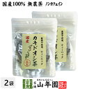 【国産 100%】カキドオシ茶 ティーパック 1.5g×20パック×2袋セット 宮崎県産 無農薬 ノンカフェイン 送料無料 ティーバッグ かきどおし茶 食物繊維...