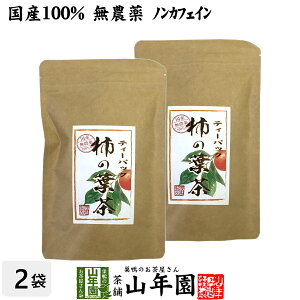 【国産 無農薬】柿の葉茶 鹿児島県産 30g(1.5g×20パック)×2袋セット ノンカフェイン 柿の葉 かきの葉茶 かきのは茶 柿のは茶 無添加 ビタミン ティーパック ティーバッグ 健康茶 妊婦 ギフト プレゼント バレンタイン プチギフト お茶2021 内祝い お返し