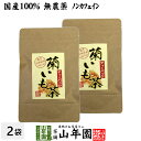 【国産100%】菊芋茶 ティーパック 無農薬 2.5g×15パック×2袋セット 送料無料 ティーバッグ 菊芋 きくいも 菊芋茶 キクイモ 菊芋茶 きくいも 菊芋茶 イヌリン 菊芋 菊芋茶 ダイエット ギフト プレゼント 母の日 父の日 プチギフト お茶 2024 内祝い お返し 菊芋