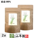 レモングラスティー ハーブティー 2g×15パック×2袋セット 熊本県産 ノンカフェイン 無農薬 送料無料 ティーバッグ ティーパック リーフ レモングラス茶 健康茶 妊婦 ダイエット 苗 ギフト プレゼント 母の日 父の日 お茶 2024 内祝い